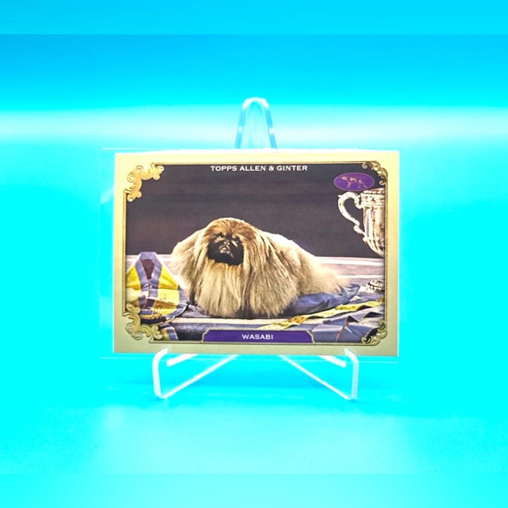 2024 Topps Allen & Ginter Westminster Kennel Club🔥WASABI🔥 #SOS-12